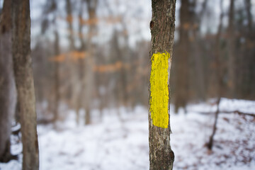 Fototapeta premium Trail marker on tree
