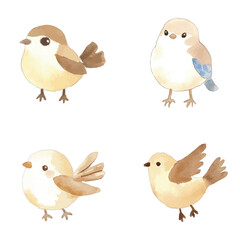 bird watercolor illustration concept for kids
