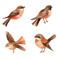 bird watercolor illustration concept for kids