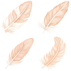 Bright blue feather watercolor hand drawn set collection