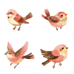 bird watercolor illustration concept for kids