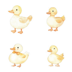 duck watercolor illustration concept for kids