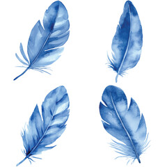 Feather watercolor hand drawn set