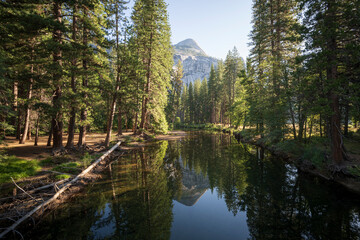 Merced river, flowing through Yosemite National Park, reflecting the pine trees and granite cliffs...