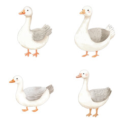 goose watercolor illustration concept for kids