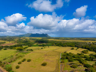 Aerial view of Kauai island's lush green fields, dense trees, and jagged Napali cliffs under a blue...
