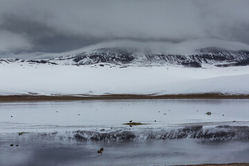 Winter lake
