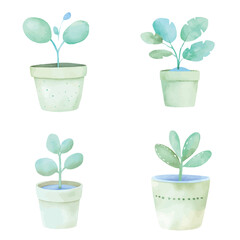Plant pot watercolor set hand drawn