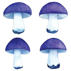 Red mushroom watercolor set hand drawn