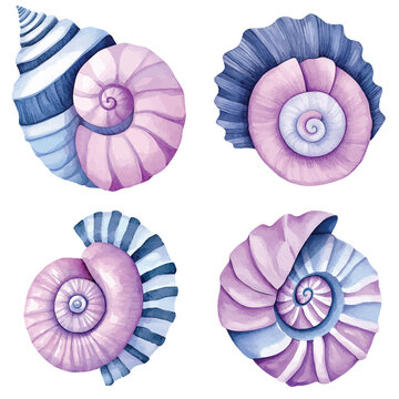 Pink and beige spiral shell watercolor hand drawn set collection