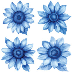 Sunflower watercolor hand drawn set