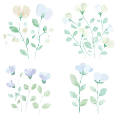 Sweet pea vine watercolor set hand drawn