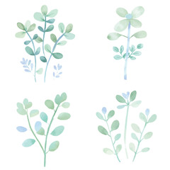 Thyme sprig watercolor hand drawn set collection