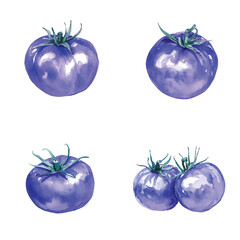 Tomato watercolor set hand drawn