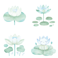 Water lily watercolor hand drawn set collection