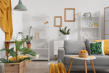 Comfortable sofa and basket with apricots on coffee table in living room