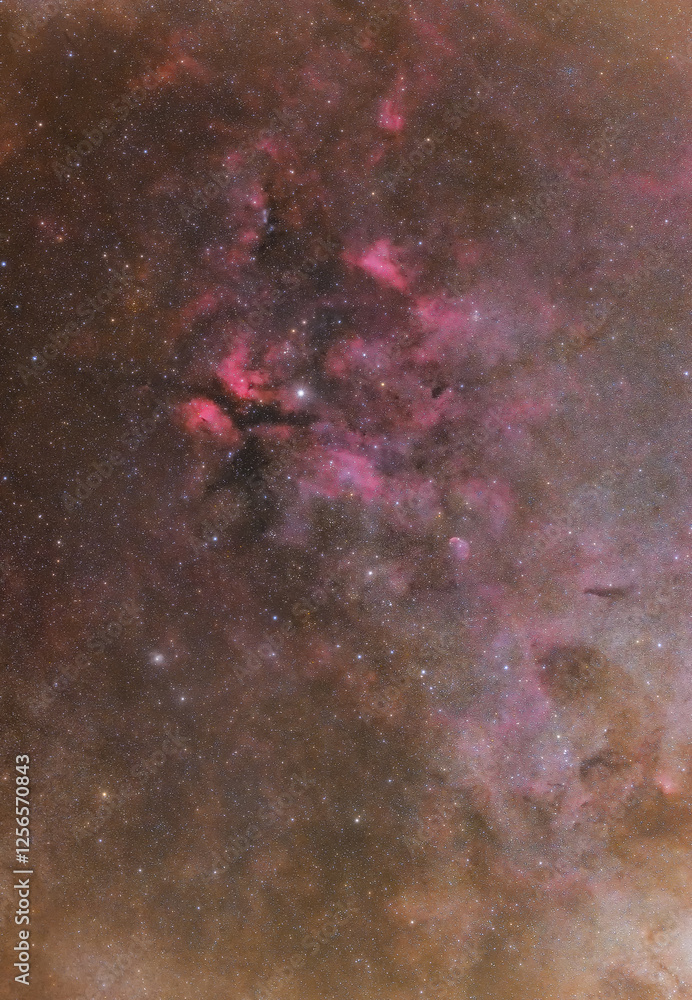 Wall mural cygnus constellation. the milky way with a telescope. butterfly nebula. nebula and cyg. space nebula