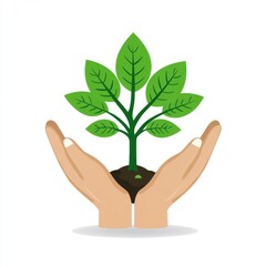 Hands Holding Young Green Plant Symbolizing Care, Growth, and Environmental Protection Concept