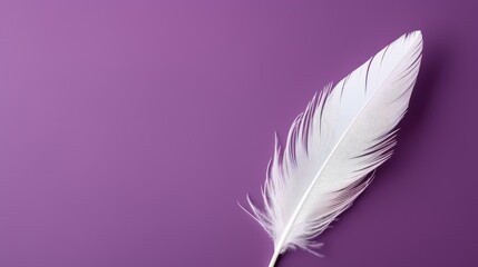 Obraz premium A delicate white feather rests on a rich purple background, creating an elegant and serene atmosphere perfect for design.