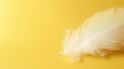Fototapeta premium A delicate white feather gracefully rests on a vibrant yellow background, perfect for adding a touch of elegance.