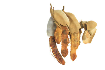 Cutout sour tamarind on white background. The variety with a sour taste comes from tartaric acid. Fresh pods are used in cooking to add sourness, mature pods are used to make tamarind paste.