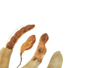 Obraz premium Cutout sour tamarind on white background. The variety with a sour taste comes from tartaric acid. Fresh pods are used in cooking to add sourness, mature pods are used to make tamarind paste.
