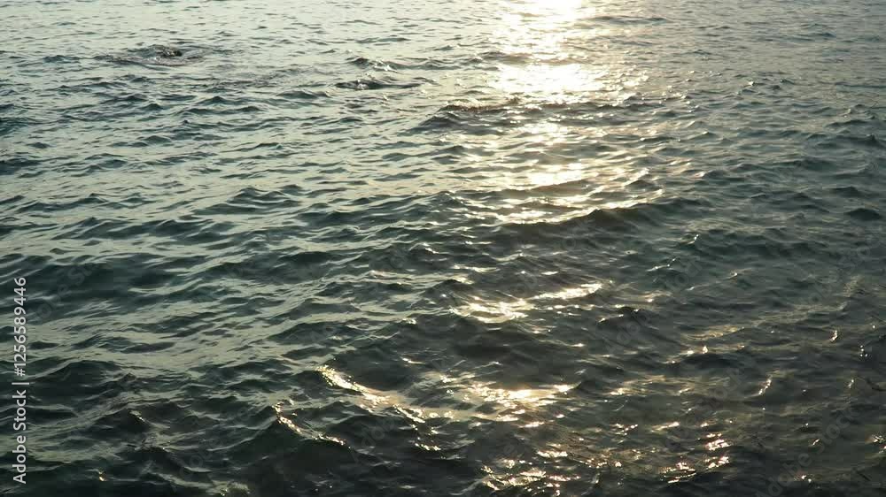 Poster sunlight glistens off softly rolling ocean waves during the evening hours, creating a serene and pea