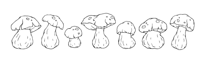 Set of linear sketches, coloring pages of white mushrooms. Vector graphics.