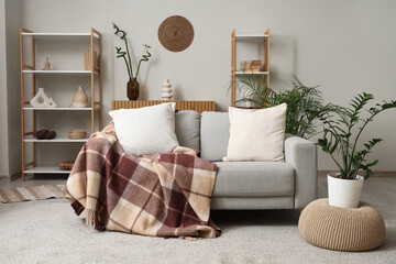 Comfortable sofa, pouf and houseplant in interior of cozy living room