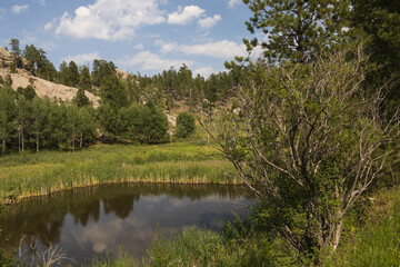 Small lake in the mountains of South Dakota