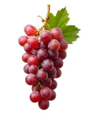 Fototapeta premium red grapes isolated on white background
