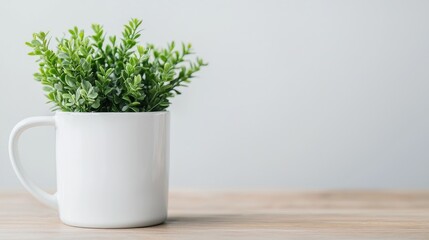 Fototapeta premium Small green plant growing in a white ceramic mug on a wooden table against a grey background.