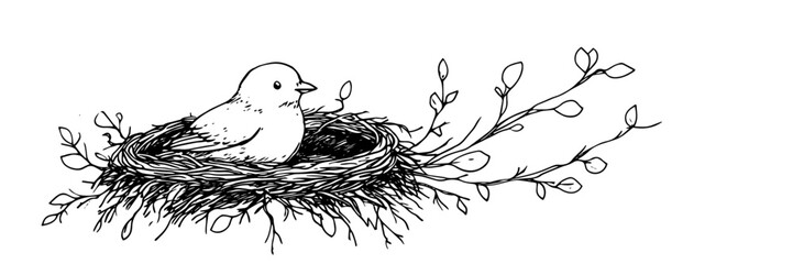 bird sitting in nest vector doodle black sketch illustration