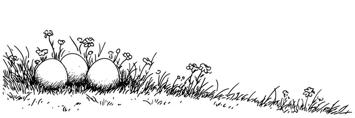 three eggs in grass with flowers vector doodle black sketch illustration