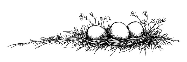 bird nest with eggs and flowers vector doodle black sketch illustration