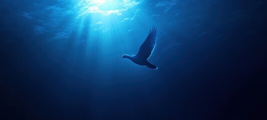 A glowing dove flying against a deep blue sky, symbolizing peace crisp edges