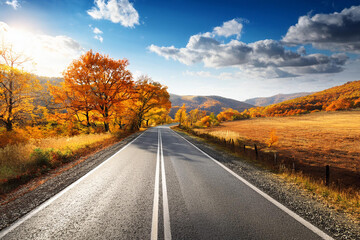 Beautiful rural road in autumn season forest. Royalty high-quality free best stock of Scenic autumn Winding road with colorful foliage, amazing landscape nature, fall color trees woods