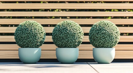 Three perfectly spherical topiary shrubs in light teal pots arranged against a warm wood slat fence, creating a serene and balanced scene.