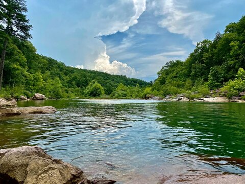 Black River Reflections