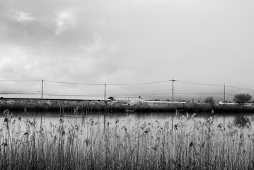 Japanese countryside with snow