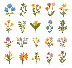 Collection of Minimalist Wildflower Illustrations with Colorful Floral Designs and Leaves for Botanical Art and Natural Decoration