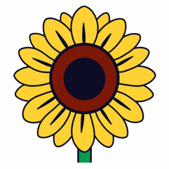 Illustration Sunflower Isolated Background Summer Designs