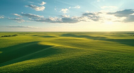 Obraz premium Peaceful and Natural Grassland.