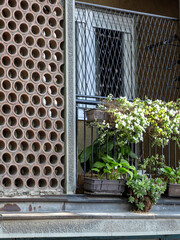 Balcony with a window and a plant in a pot