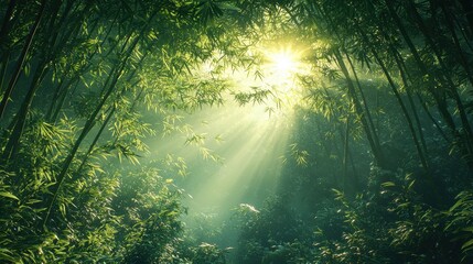 Sunlit Bamboo Forest - A Serene Nature Escape
