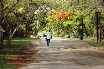 Fototapeta premium walking in the park