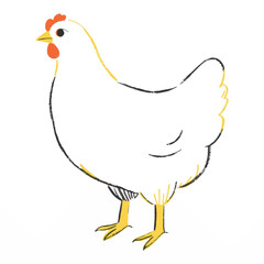 Sketch of a Chicken, Hand Drawn with Simple and Rustic Lines