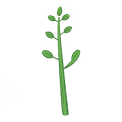 A Thin Green Plant Stick with Leaves, Minimalist and Fresh Botanical Design