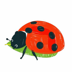 Illustration of Ladybug on Leaf