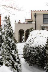 Snow Covered Buildings in Washington DC